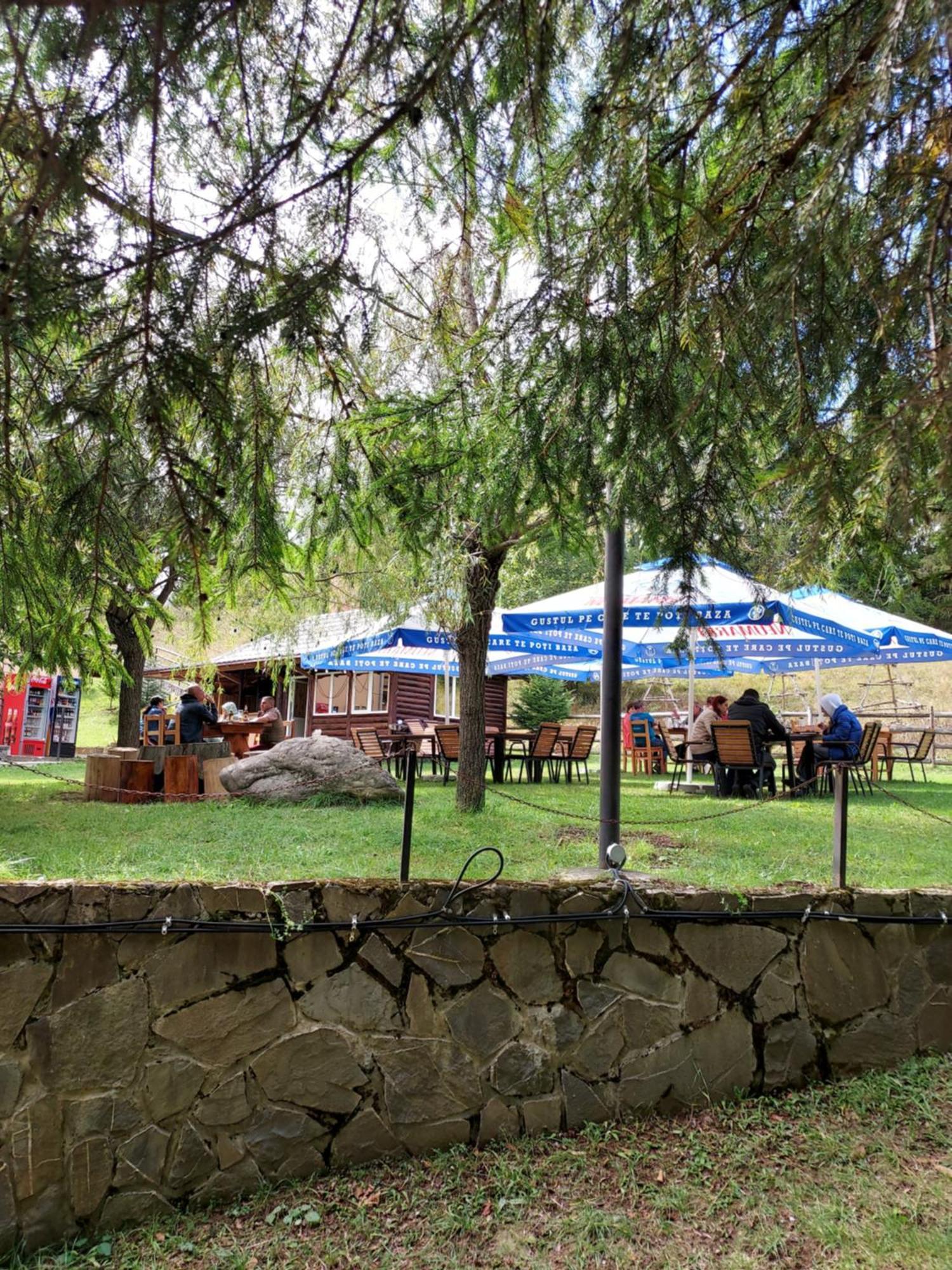 Pensiunea La Taverna Trăisteni Exterior foto
